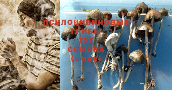 мяу мяу кристалл Магас