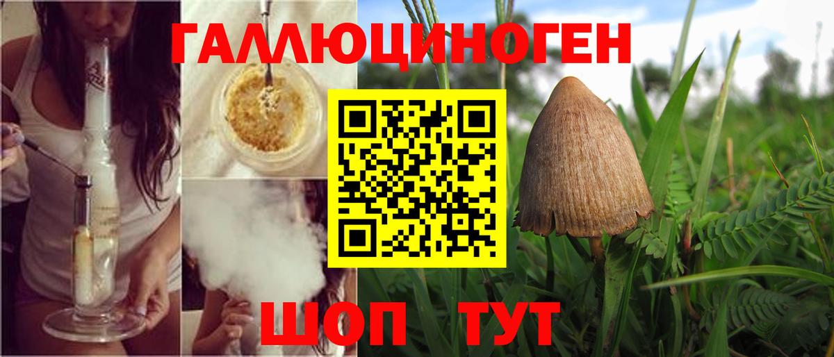 Галлюциногенные грибы прущие грибы  Вход с VPN  Каменск-Шахтинский  Галлюциногенные грибы MAGIC MUSHROOMS 