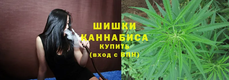 купить наркотик  Каменск-Шахтинский  Канабис THC 21% 